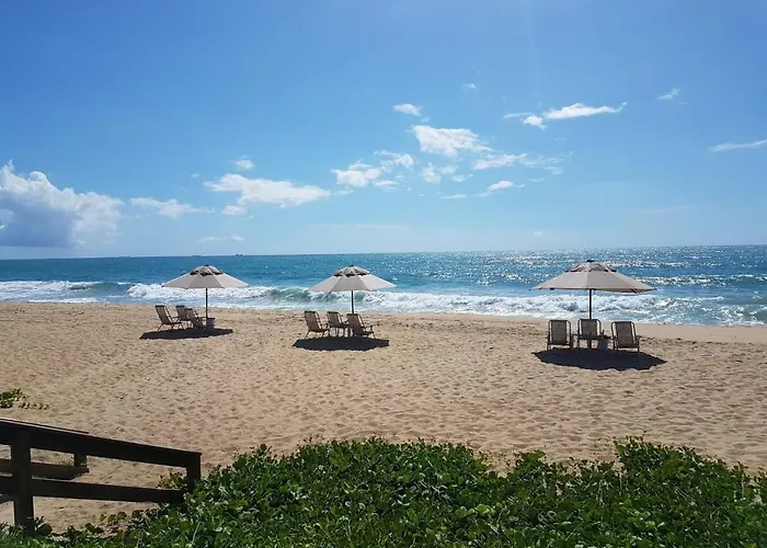Beach Class Eco Life Figueira